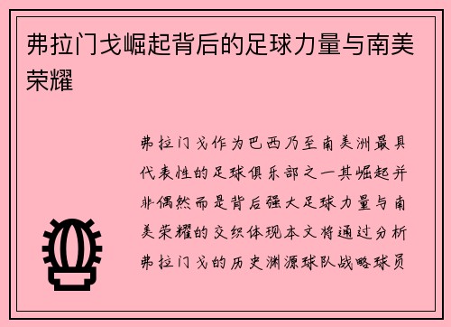 弗拉门戈崛起背后的足球力量与南美荣耀